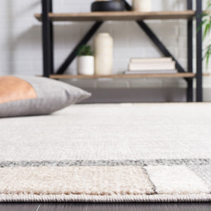 Safavieh Phoenix 553 Contemporary Power Loomed Rug Light Grey / Beige Charcoal PHX553F-9