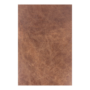 Moe's Home Carlisle Club Chair Light Brown