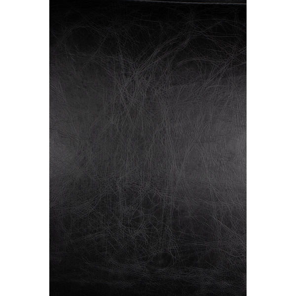 Moe's Home Paradiso Chair Black