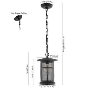 Safavieh Osprey Outdoor Pendant/Black Black Metal / Glass PLT4030A