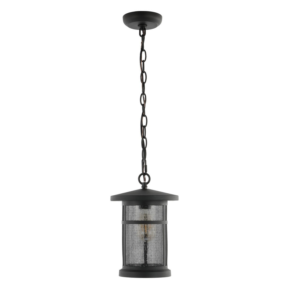 Safavieh Osprey Outdoor Pendant/Black Black Metal / Glass PLT4030A