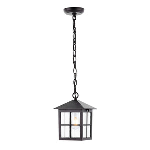 Safavieh Penryn Outdoor Pendant/Black Black Metal / Glass PLT4031A