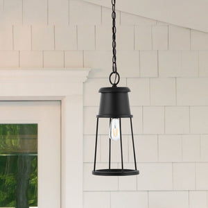 Safavieh Laela Outdoor Pendant/Black Black Metal / Glass PLT4035A