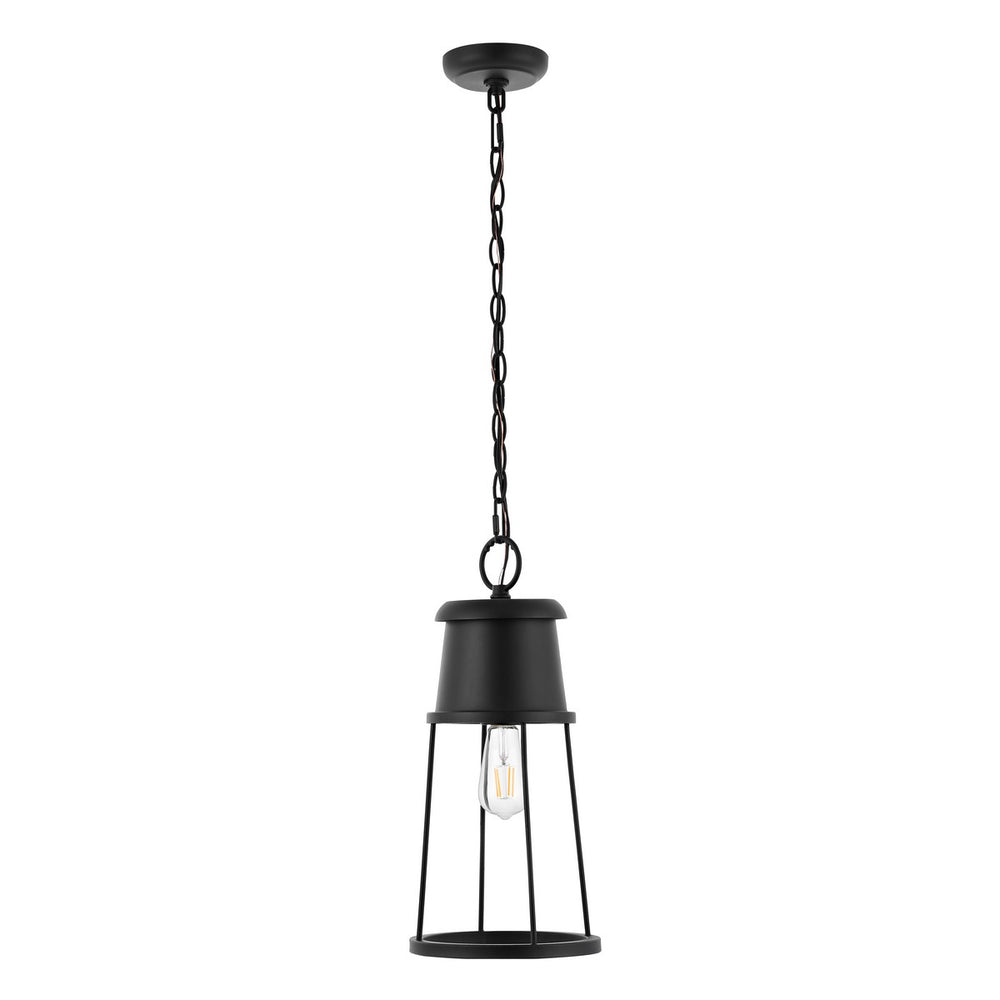 Safavieh Laela Outdoor Pendant/Black Black Metal / Glass PLT4035A