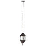 Grazia Outdoor Pendant