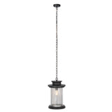 Safavieh Queren Outdoor Pendant PLT7025A