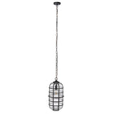 Safavieh Rigel Outdoor Pendant PLT7031A