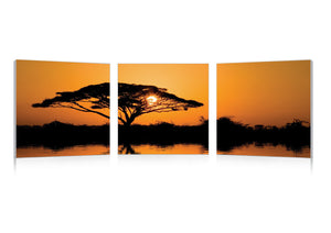 Baxton Studio Savannah Sunset Mounted Photography Print Triptych