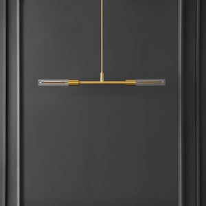 Safavieh Vasei, 2 Light, 34 Inch, Brass/Clear, Iron/Glass Extendable Pendant Brass / Clear PND4179A