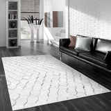 Pasargad Galaxy Allover Galaxy Cowhide Rug PTX-3284 4X6-PASARGAD