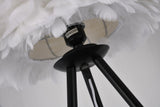 Bethel Black Floor Lamp in Iron & Feather