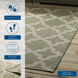 Cerelia Moroccan Trellis 9x12 Indoor and Outdoor Area Rug Beige and Light Green R-1139B-912