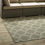 Cerelia Moroccan Trellis 9x12 Indoor and Outdoor Area Rug Beige and Light Green R-1139B-912