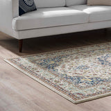 Meryam Distressed Persian Medallion 5x8 Area Rug Multicolored R-1147A-58