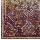 Success Kaede Transitional Distressed Vintage Floral Persian Medallion 5x8 Area Rug Multicolored R-1157A-58