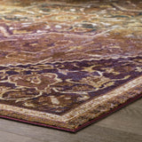 Success Kaede Transitional Distressed Vintage Floral Persian Medallion 5x8 Area Rug Multicolored R-1157A-58