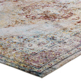 Success Merritt Transitional Distressed Floral Persian Medallion 4x6 Area Rug Multicolored R-1158A-46