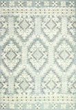 R130-LGN-9X12-LC163 Rugs