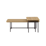 Walker Edison Reema Modern/Contemporary 2-Piece Modern Nesting Coffee Table REONCTCO