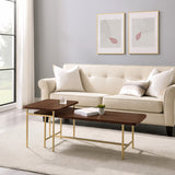 Walker Edison Reema Modern/Contemporary 2-Piece Modern Nesting Coffee Table REONCTDW