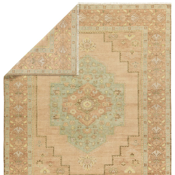 Jaipur Living Reza Hasina REZ01 Hand Knotted Handmade Indoor Persian Knot 4/25 Wl Southwestern Rug Tan 6' x 9'