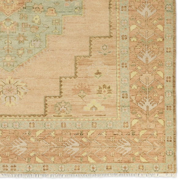 Jaipur Living Reza Hasina REZ01 Hand Knotted Handmade Indoor Persian Knot 4/25 Wl Southwestern Rug Tan 6' x 9'