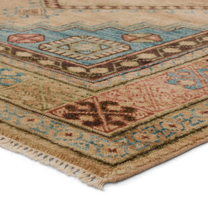 Jaipur Living Reza Lunja REZ02 Hand Knotted Handmade Indoor Persian Knot 4/25 Wl Southwestern Rug Blue 8' x 10'