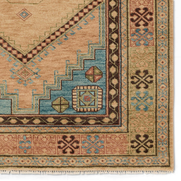 Jaipur Living Reza Lunja REZ02 Hand Knotted Handmade Indoor Persian Knot 4/25 Wl Southwestern Rug Blue 8' x 10'