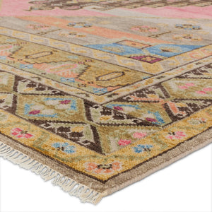 Jaipur Living Reza Izma REZ03 Hand Knotted Handmade Indoor Persian Knot 4/25 Wl Southwestern Rug Multicolor 9' x 12'