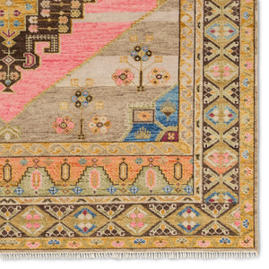 Jaipur Living Reza Izma REZ03 Hand Knotted Handmade Indoor Persian Knot 4/25 Wl Southwestern Rug Multicolor 9' x 12'