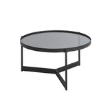 Rhonda Modern/Contemporary Modern Glass and Metal Round Coffee Table