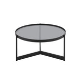 Walker Edison Rhonda Modern/Contemporary Modern Glass and Metal Round Coffee Table RHO83CTSGL