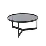 Walker Edison Rhonda Modern/Contemporary Modern Glass and Metal Round Coffee Table RHO83CTSGL