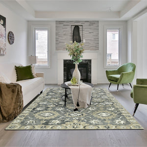 AMER Rugs Romania ROM-7 Hand-Hooked Floral Classic Area Rug Gray 9' x 13'