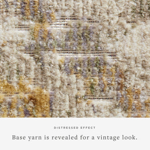 Loloi Rosemarie ROE-02 95% Polypropylene, 5% Polyester Pile Power Loomed Traditional Rug ROSMROE-02IVNAB6F6