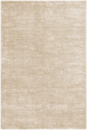 Chandra Rugs Royal 70% Wool + 30% Polyester Hand-Woven Contemporary Rug Ivory 9' x 13'