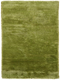 Chandra Rugs Royal 70% Wool + 30% Polyester Hand-Woven Contemporary Rug Green 9' x 13'