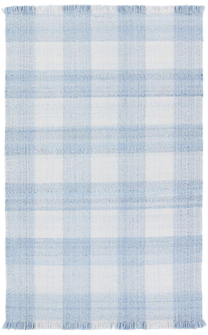 Jaipur Living Respite Truce RSP01 Handwoven Handmade Outdoor Farmhouse Rug Light Blue 9' x 12'