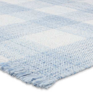 Jaipur Living Respite Truce RSP01 Handwoven Handmade Outdoor Farmhouse Rug Light Blue 9' x 12'