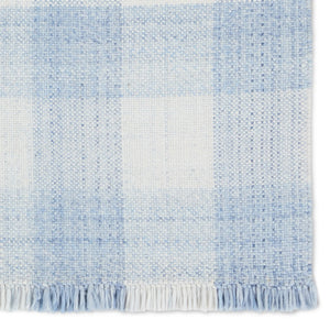 Jaipur Living Respite Truce RSP01 Handwoven Handmade Outdoor Farmhouse Rug Light Blue 9' x 12'