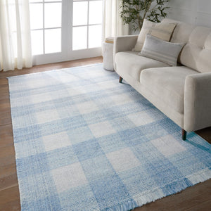 Jaipur Living Respite Truce RSP01 Handwoven Handmade Outdoor Farmhouse Rug Light Blue 9' x 12'