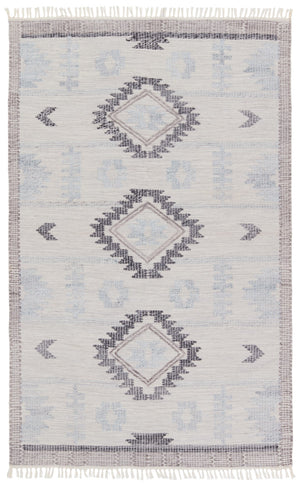Jaipur Living Revelry Winger RVR03 Handwoven Handmade Outdoor Southwestern Rug Silver 5' x 8'