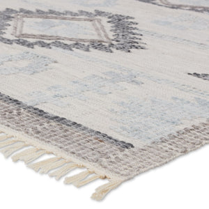 Jaipur Living Revelry Winger RVR03 Handwoven Handmade Outdoor Southwestern Rug Silver 5' x 8'
