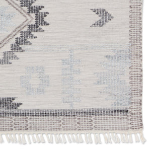 Jaipur Living Revelry Winger RVR03 Handwoven Handmade Outdoor Southwestern Rug Silver 5' x 8'