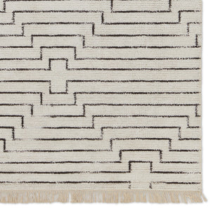 Jaipur Living Satellite Alloy SAT02 Handwoven Handmade Indoor Global Rug White 10' x 14'