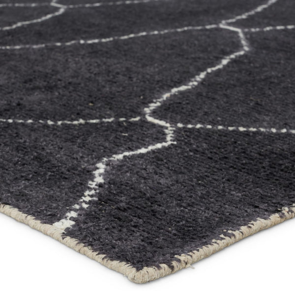 Jaipur Living Satellite Carmine SAT05 Handwoven Handmade Indoor Moroccan Rug Dark Gray 10' x 14'