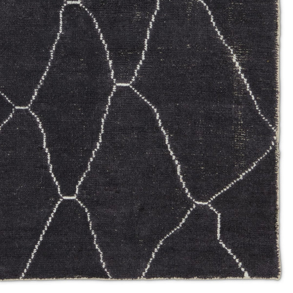 Jaipur Living Satellite Carmine SAT05 Handwoven Handmade Indoor Moroccan Rug Dark Gray 10' x 14'