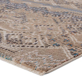 Jaipur Living Sanaa By Nikki Chu Collection SBC09 Tamari 78% Polypropylene 22% Polyester Machine Made Global Tribal Rug RUG151418