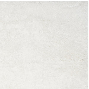 Safavieh South Beach Shag 562 Hand Tufted Polyester Rug SBS562A-26