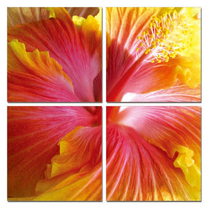 VIG Furniture Modrest Hibiscus 4-Panel Photo on Canvas VGSC-SC-9637ABCD